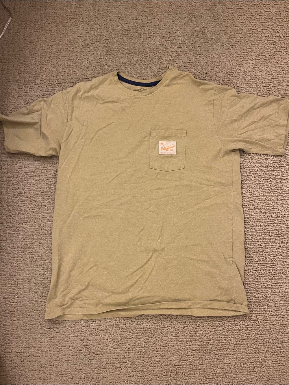 Patagonia T-shirt